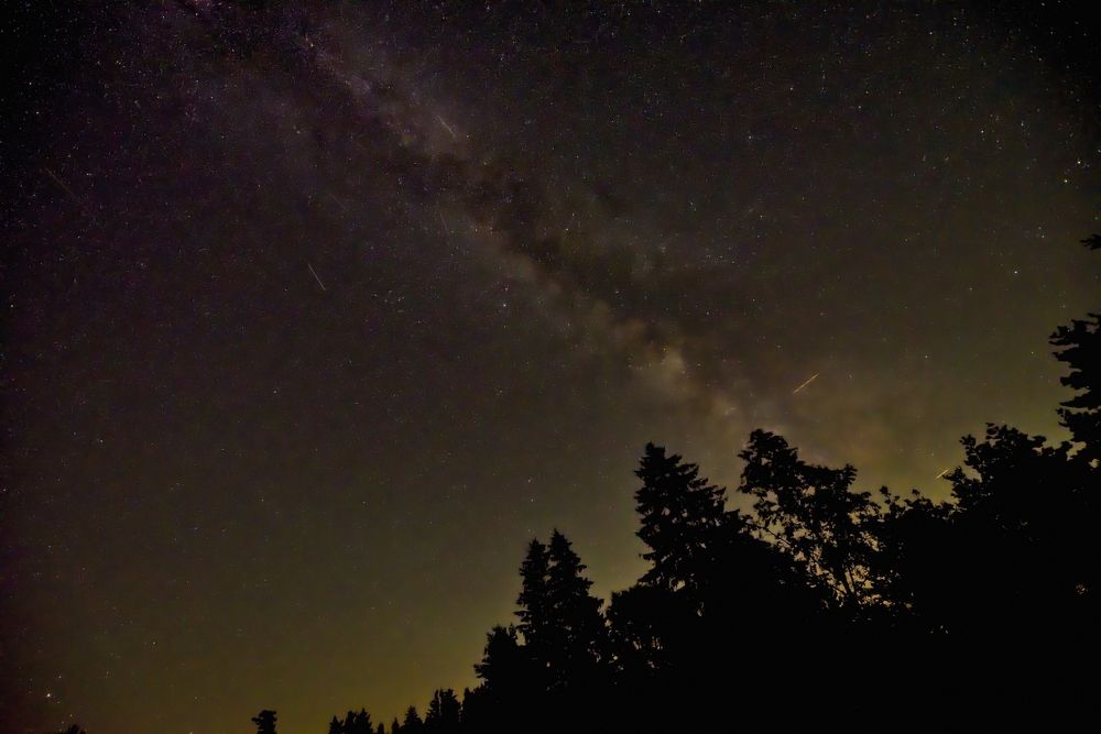 Photograph by Milan Cernak