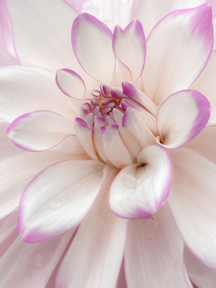 Photograph by Дарья Махнёва