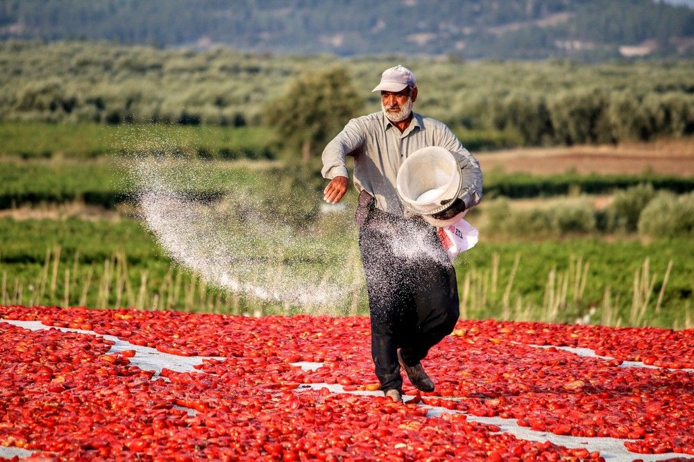 Photograph by volkan akan