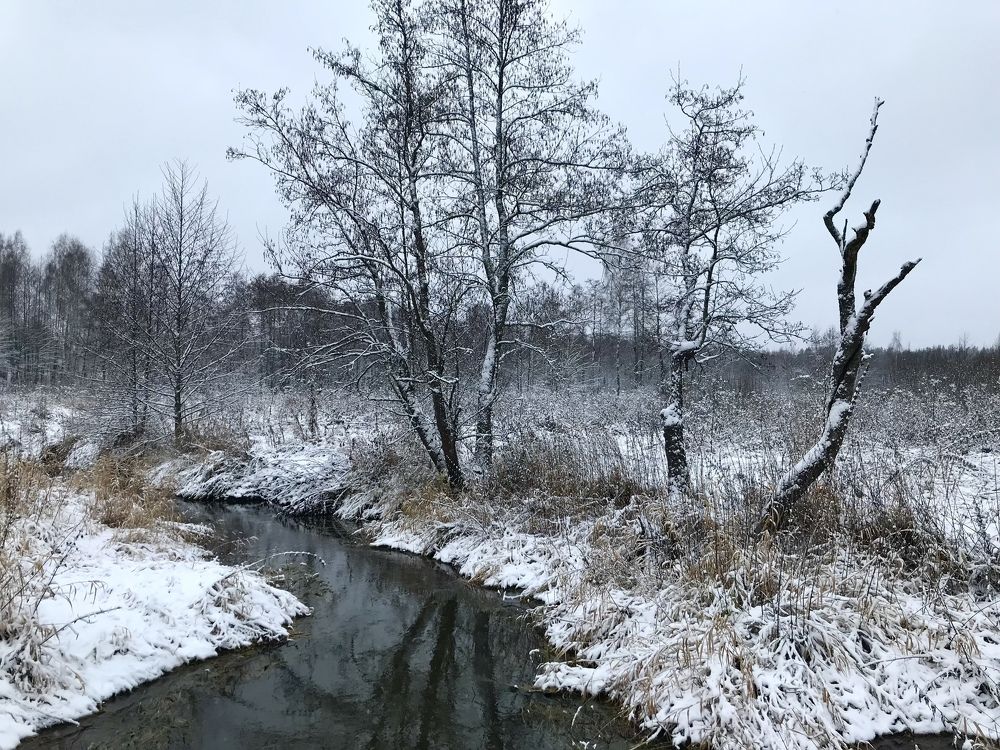 Photograph by Надежда Ткаченко