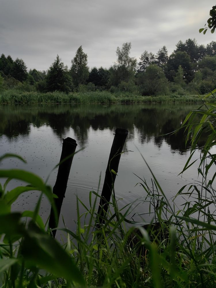 Photograph by Надежда