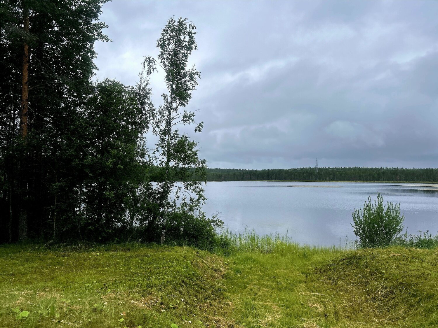 Photo #11294608