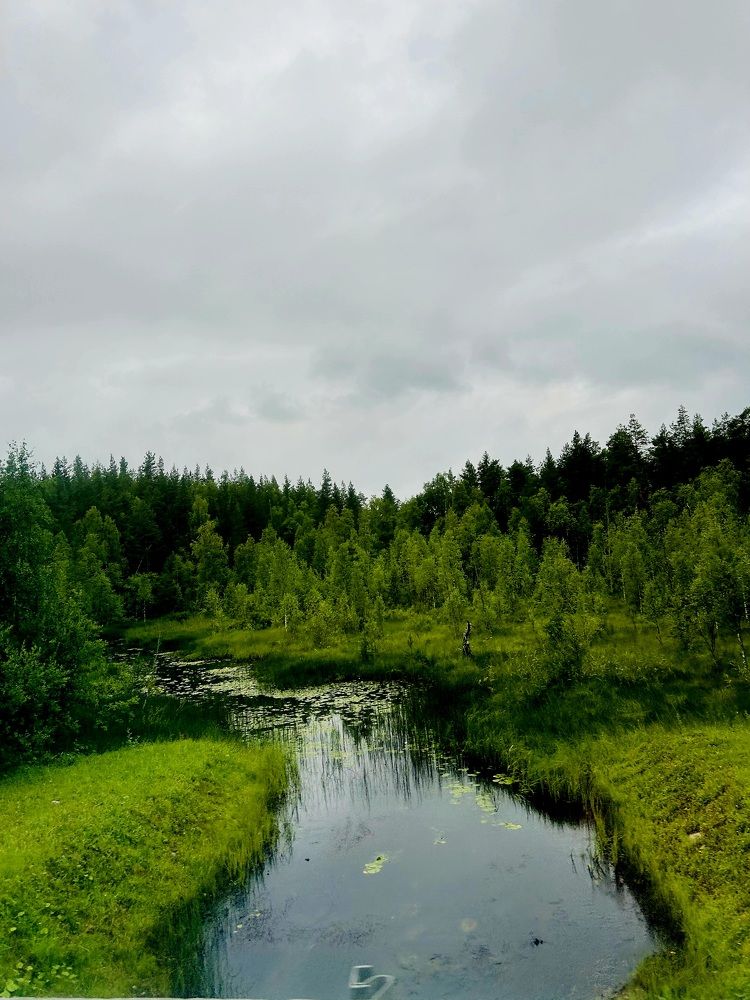 Photograph by Дмитрий