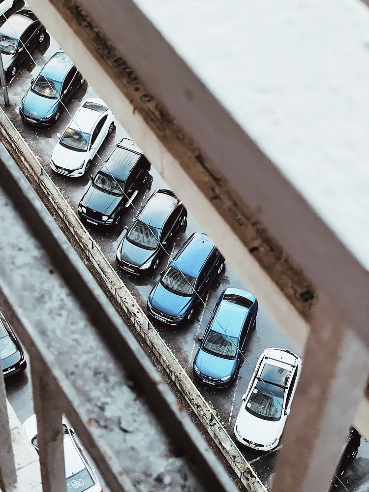 Фотография автора Анатолий