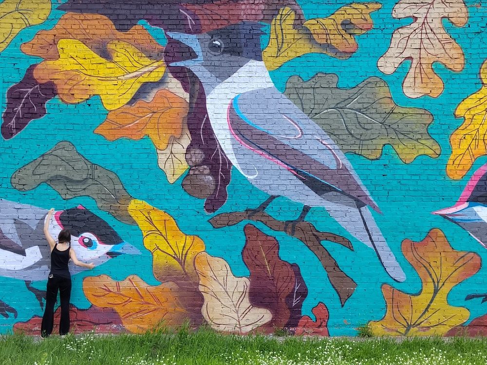 Фотография автора Могилевцева Дарья