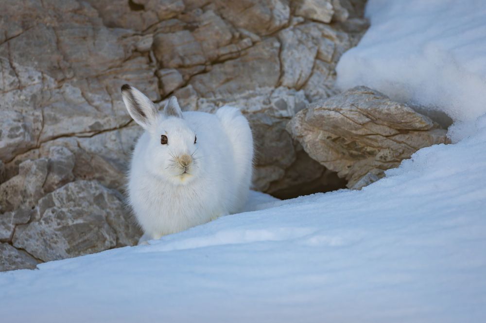 Photograph by Marco Rondi