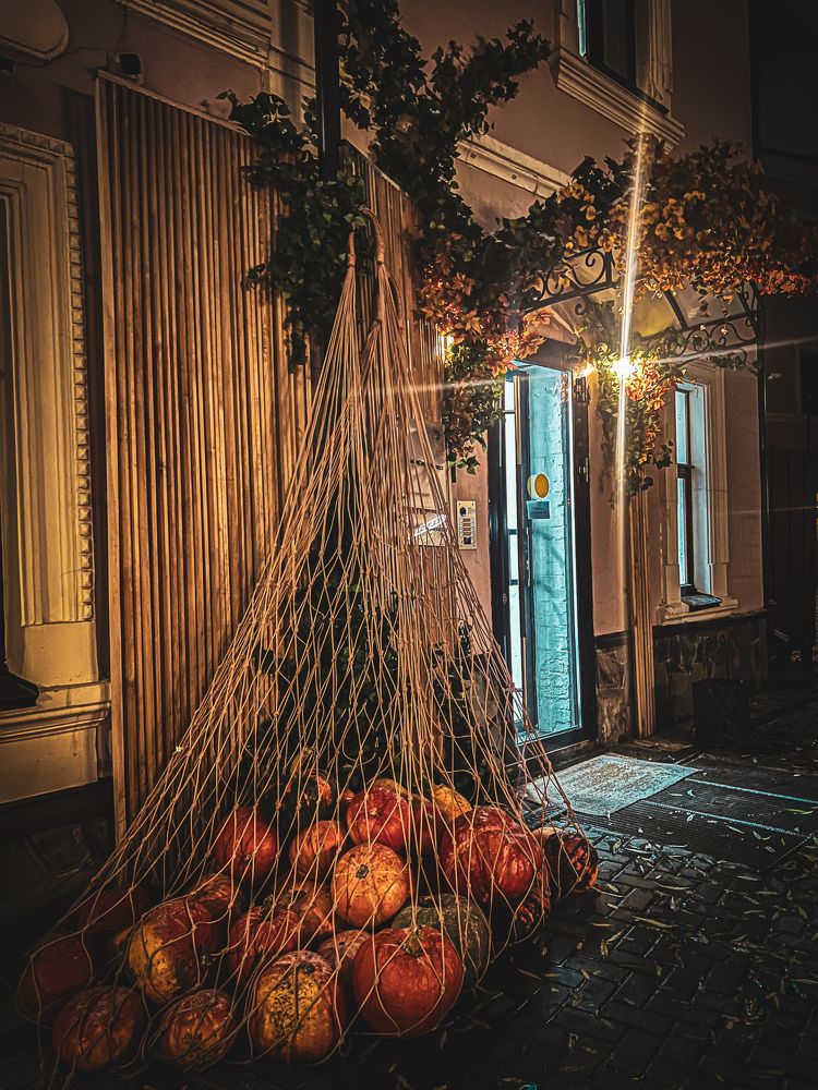 Photograph by Elvira