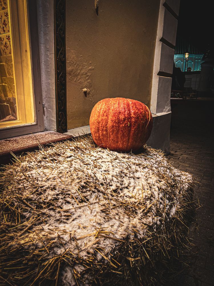 Photograph by Elvira