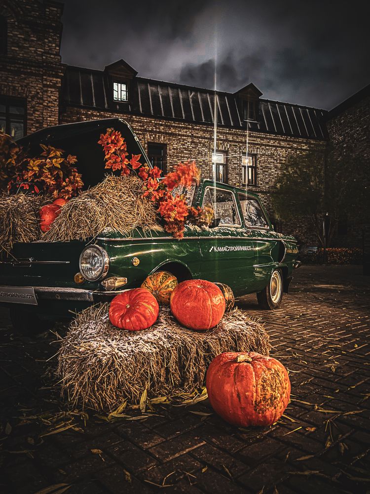 Photograph by Elvira