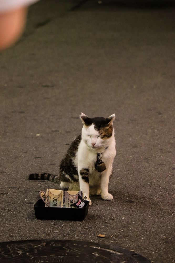 Photograph by Валерия Лунина