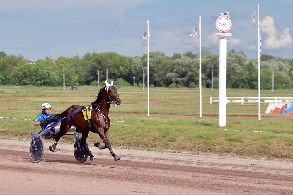 Фотография автора Светлана