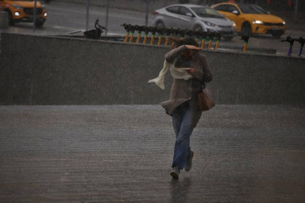 Фотография автора Елена Кириллова