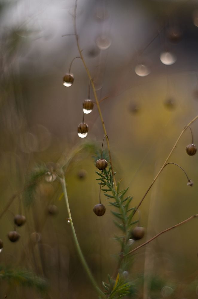 Photograph by Татьяна Псенкова