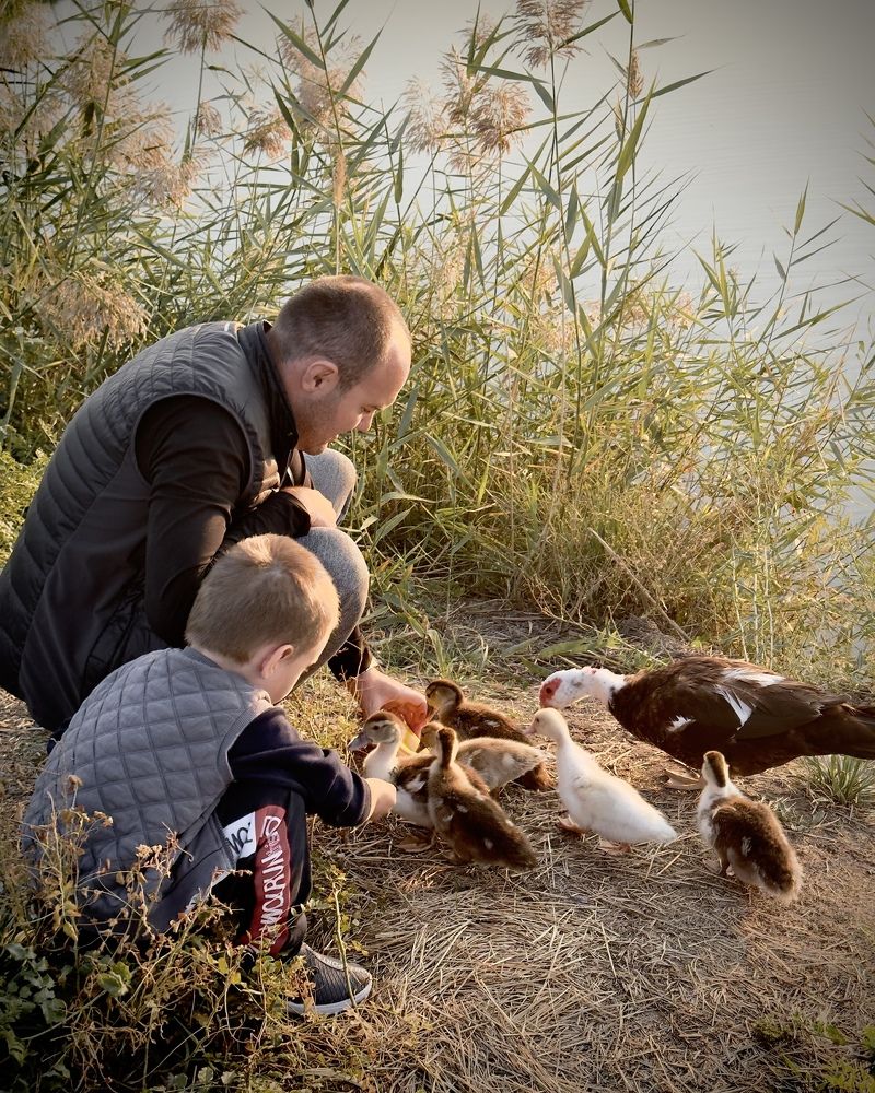 Photograph by Ольга Бибекина