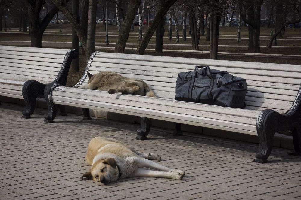 Photograph by Sergei Komlev