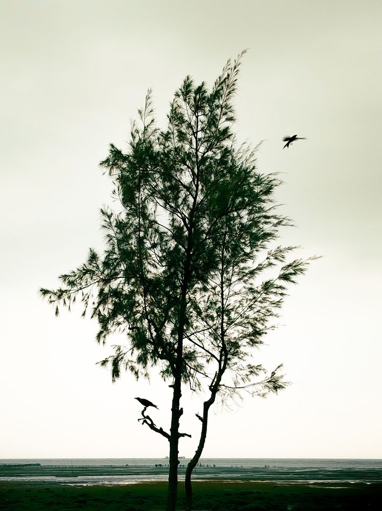 Photograph by Muhaiminur Rakib