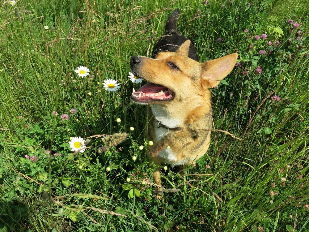 Photograph by ЭЛЬМИРА  ИСМАИЛОВА