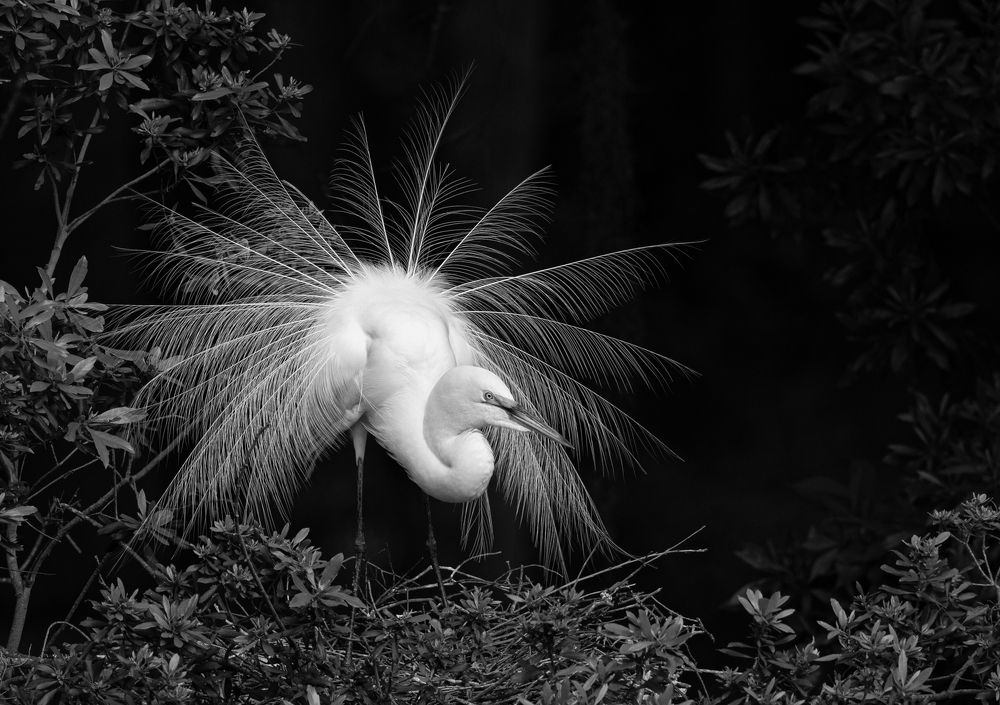 Photograph by Schletter Jackie