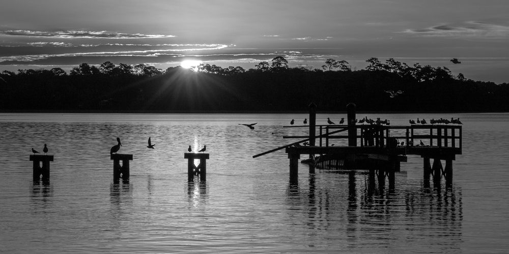 Photograph by Schletter Jackie