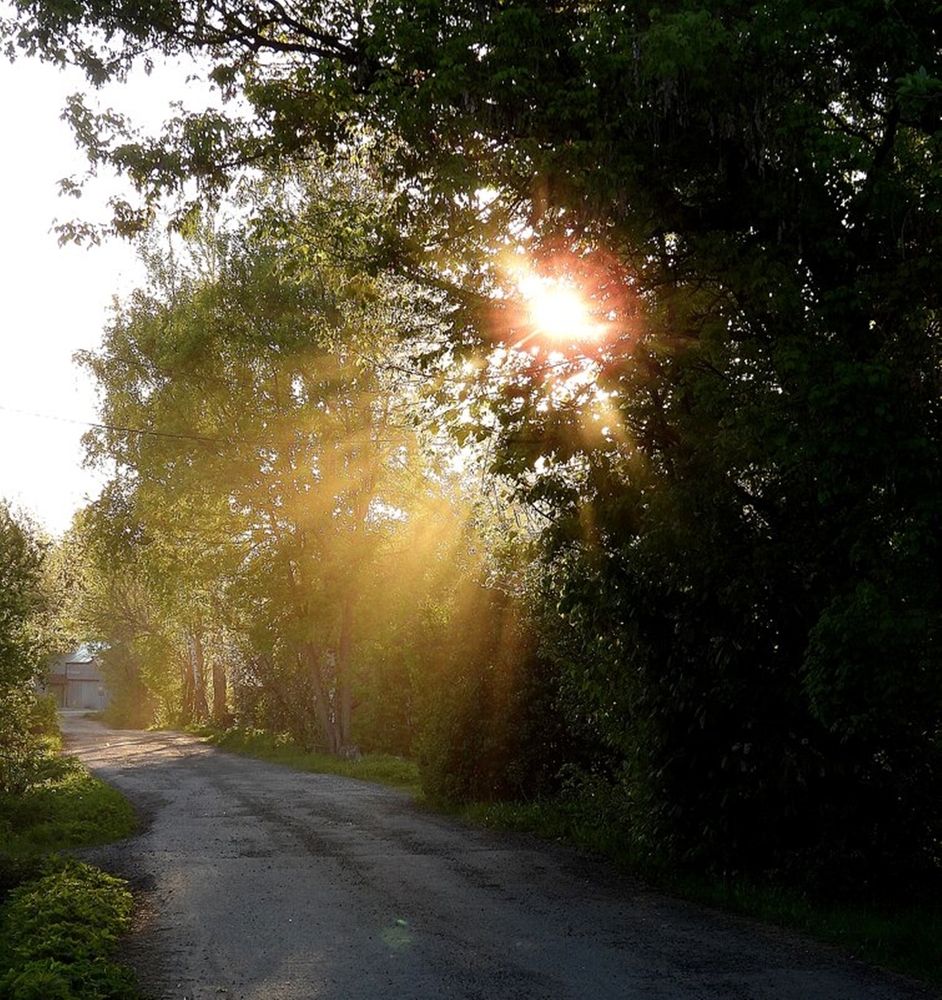 Photograph by Леонид Владимирович