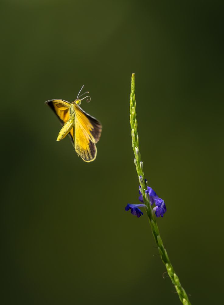 Photograph by Schletter Jackie