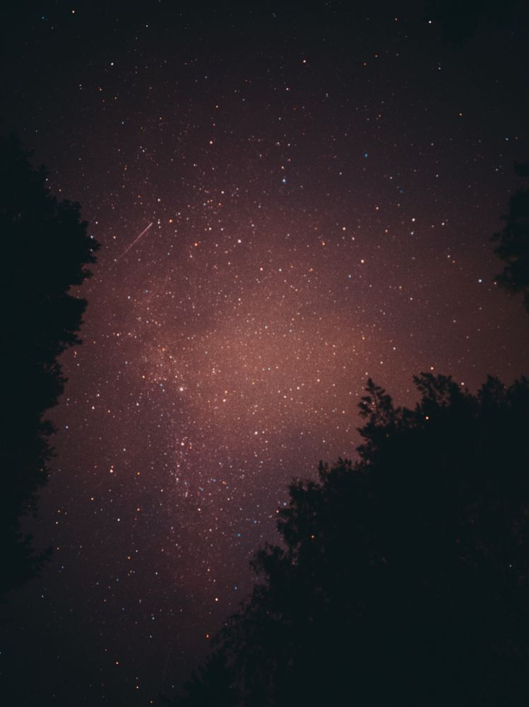 Photograph by Максим Кутсар