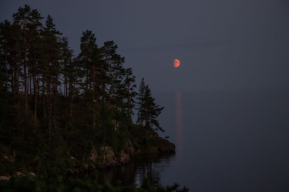 Photograph by Олег Филиппов