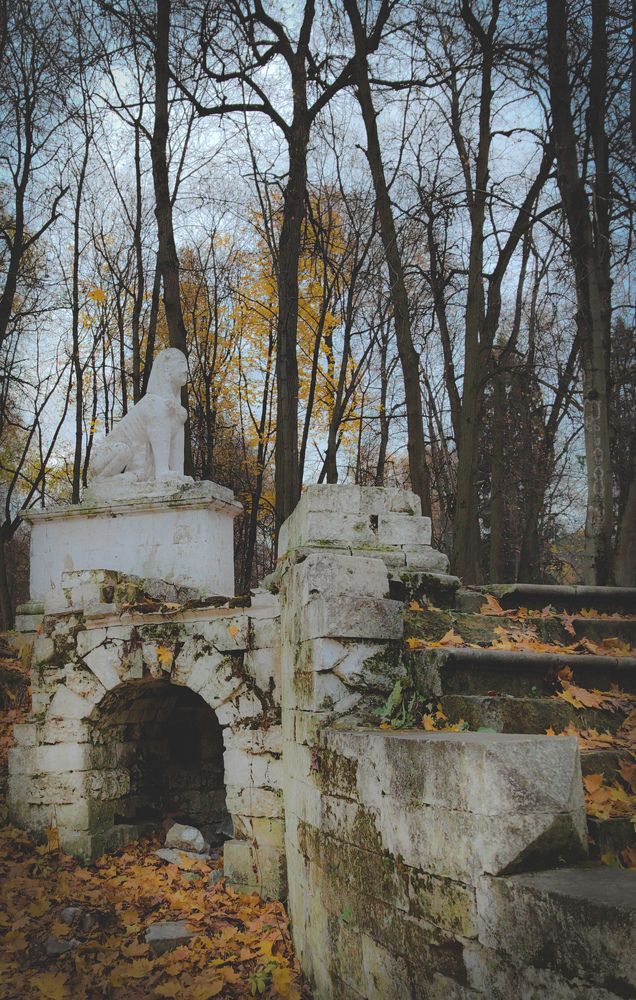 Фотография автора Olga Golubkova