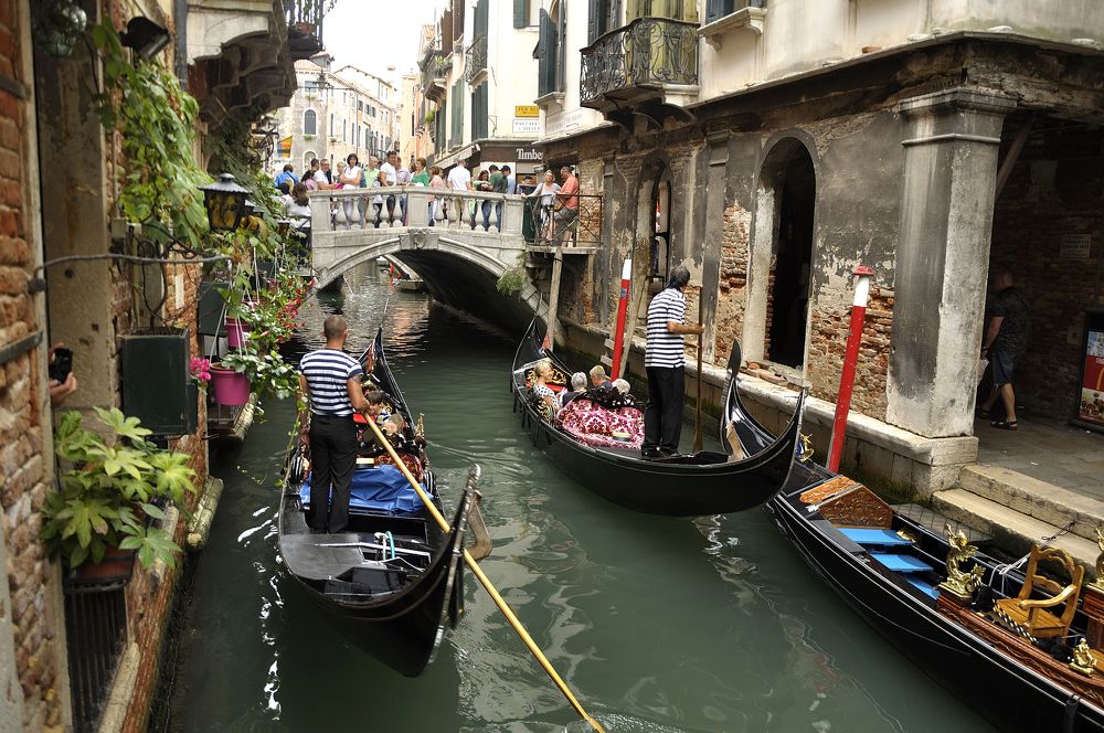 Photograph by Игорь Овсиенко