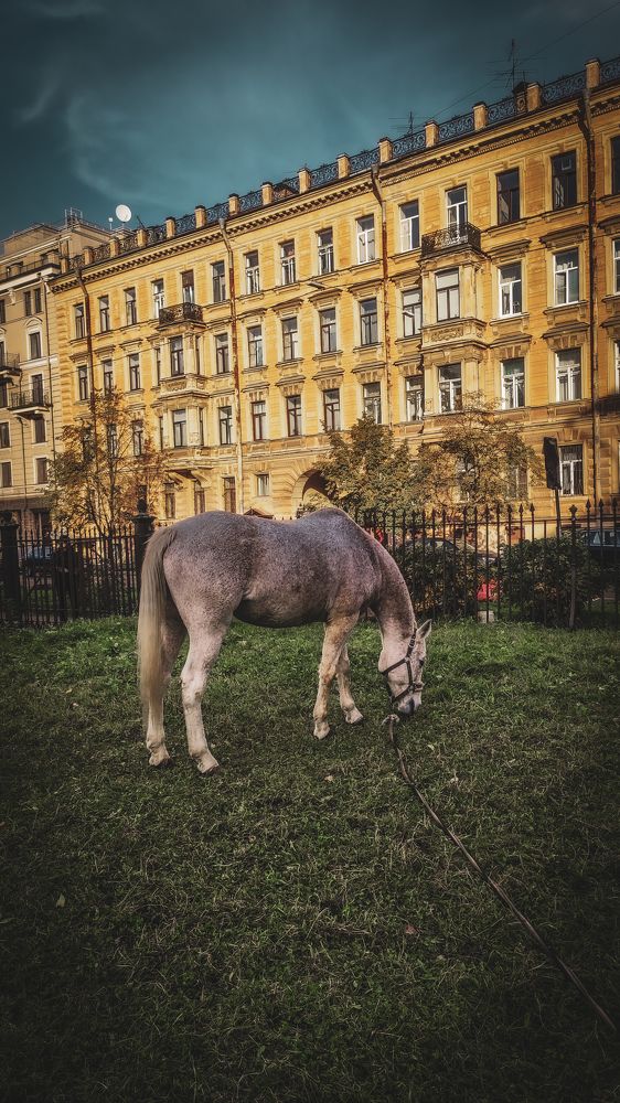 Photograph by Екатерина Никитина