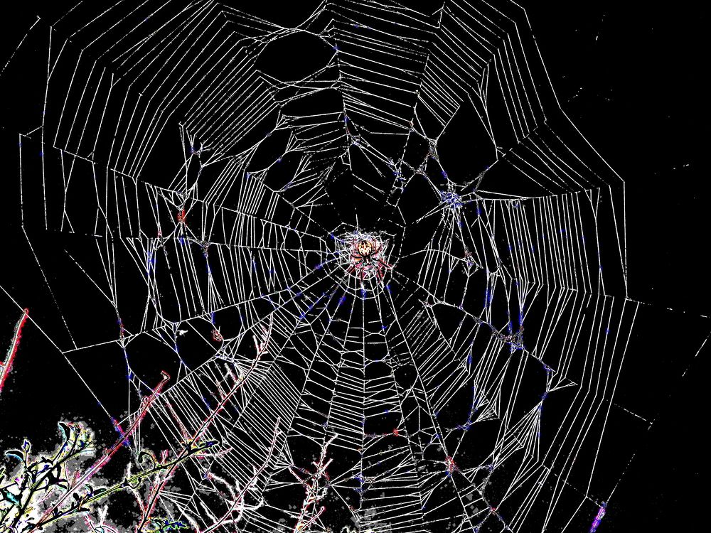 Photograph by Markov Alexander