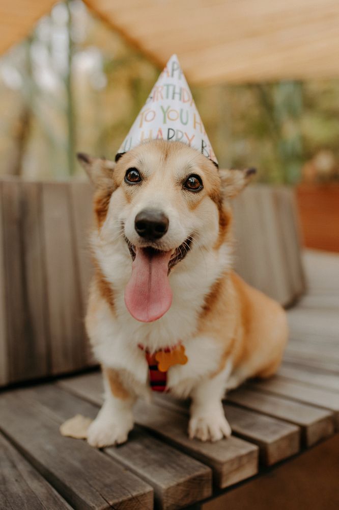 Photograph by Любовь Харитонова