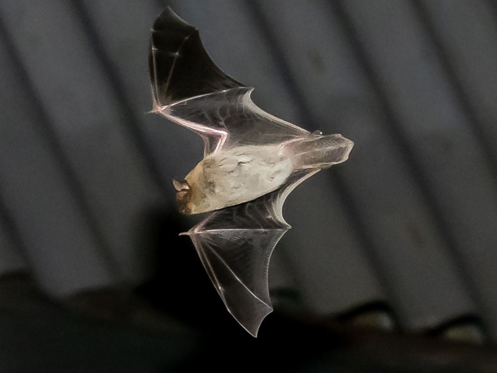 Photograph by Markov Alexander