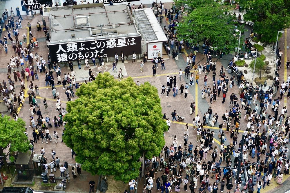 Фотография автора Liudmila Kiermeier