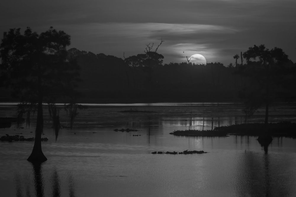 Фотография автора Erik Nelson