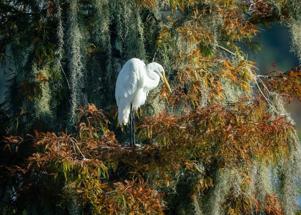 Фотография автора Erik Nelson