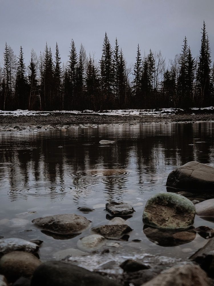 Photograph by Ирина