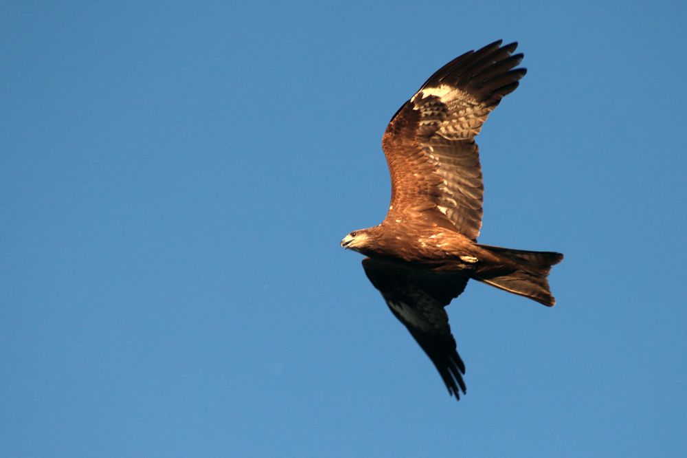 Photograph by Анурова Аля