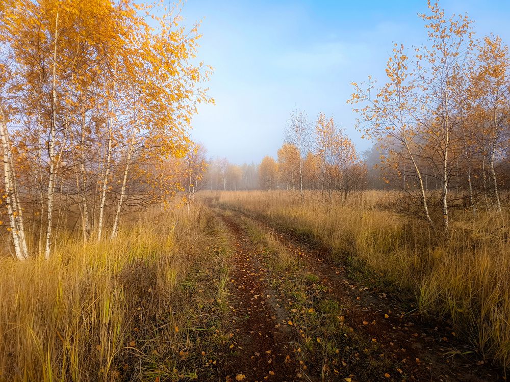 Photograph by Кондрашова Светлана