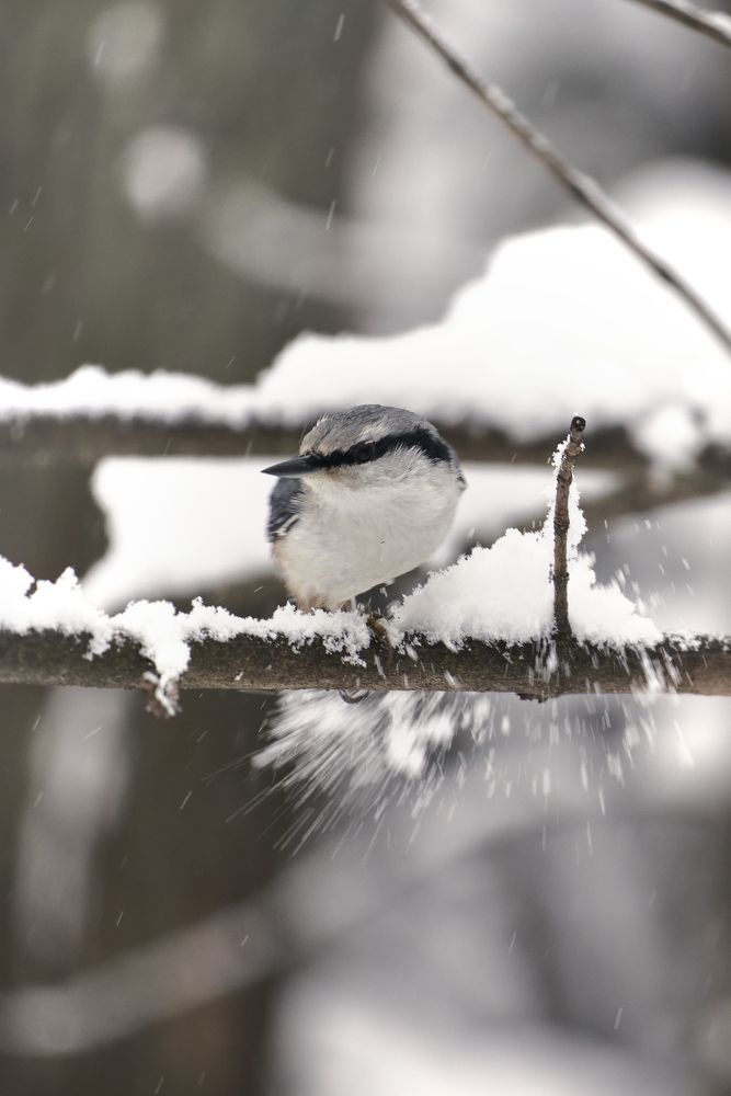 Photograph by Наталья Лабодина