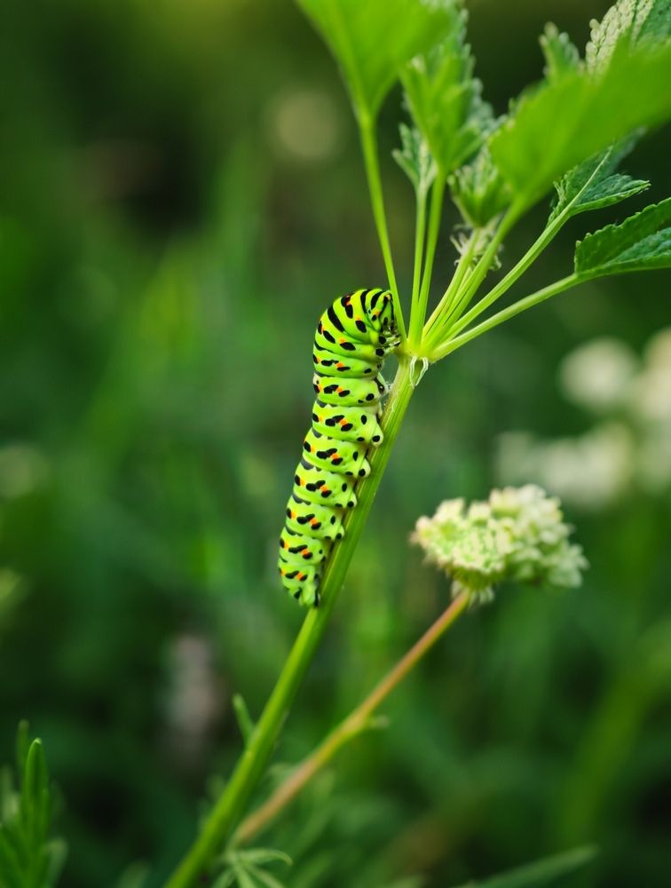 Photograph by Сергей Зайцев