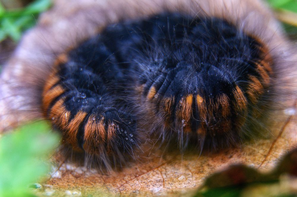 Photograph by Сергей Дишук