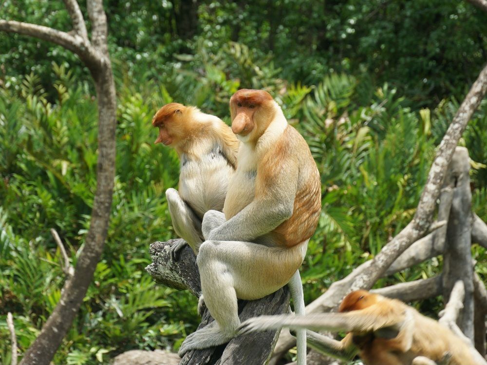 Photograph by Вадим Богатиков