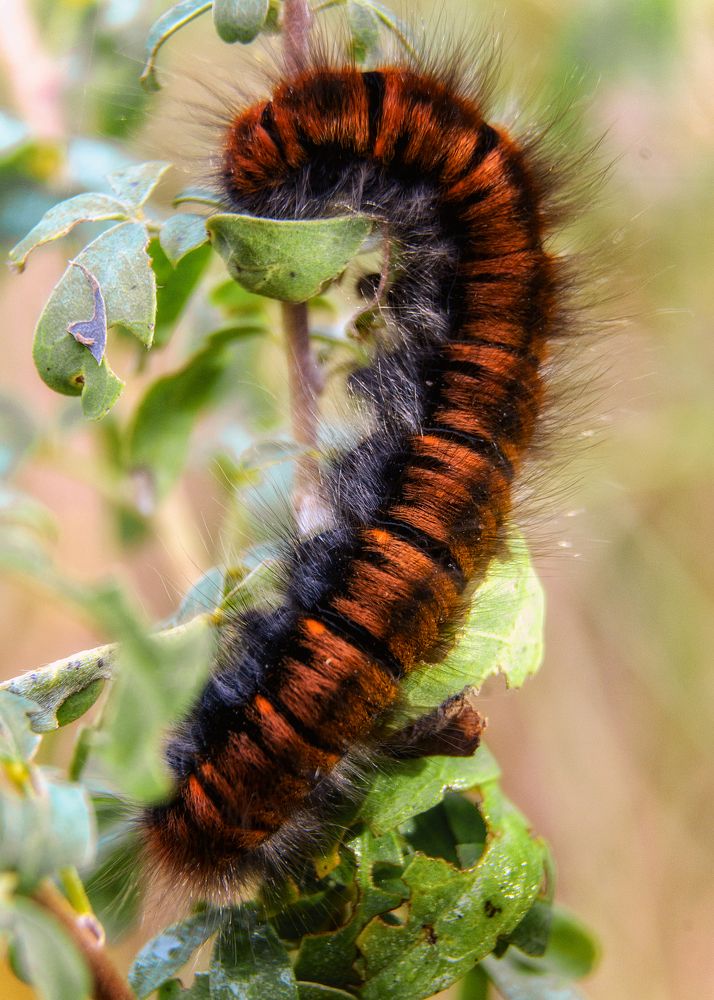 Photograph by Сергей Дишук