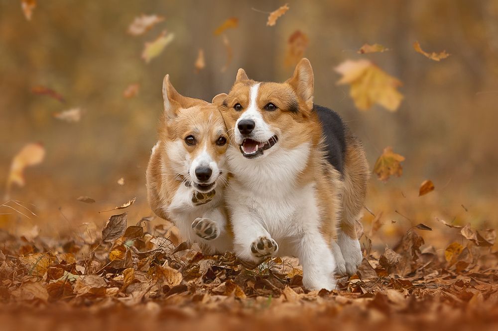 Photograph by Ольга Легенькая