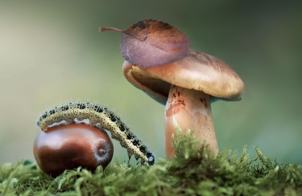 Photograph by Лапшина Владлена