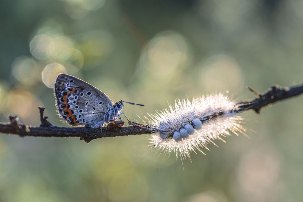 Photograph by Лапшина Владлена