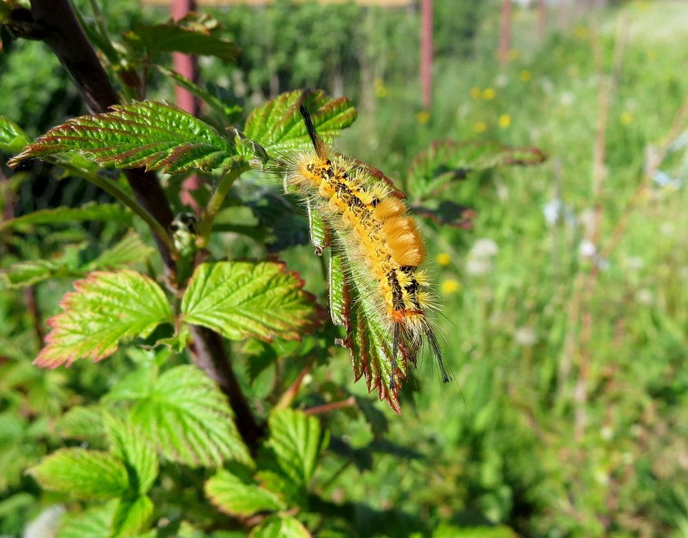 Photograph by Елена Казарина