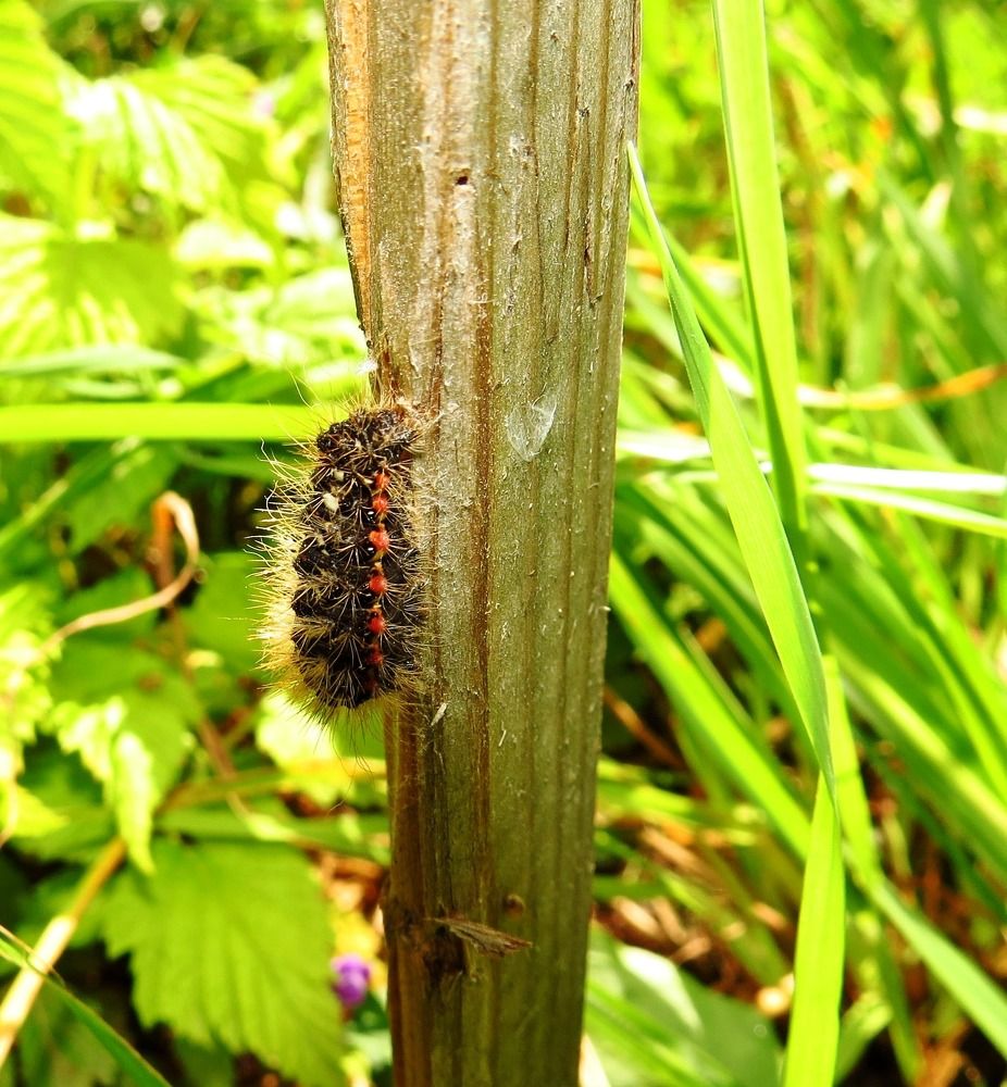 Photograph by Елена Казарина