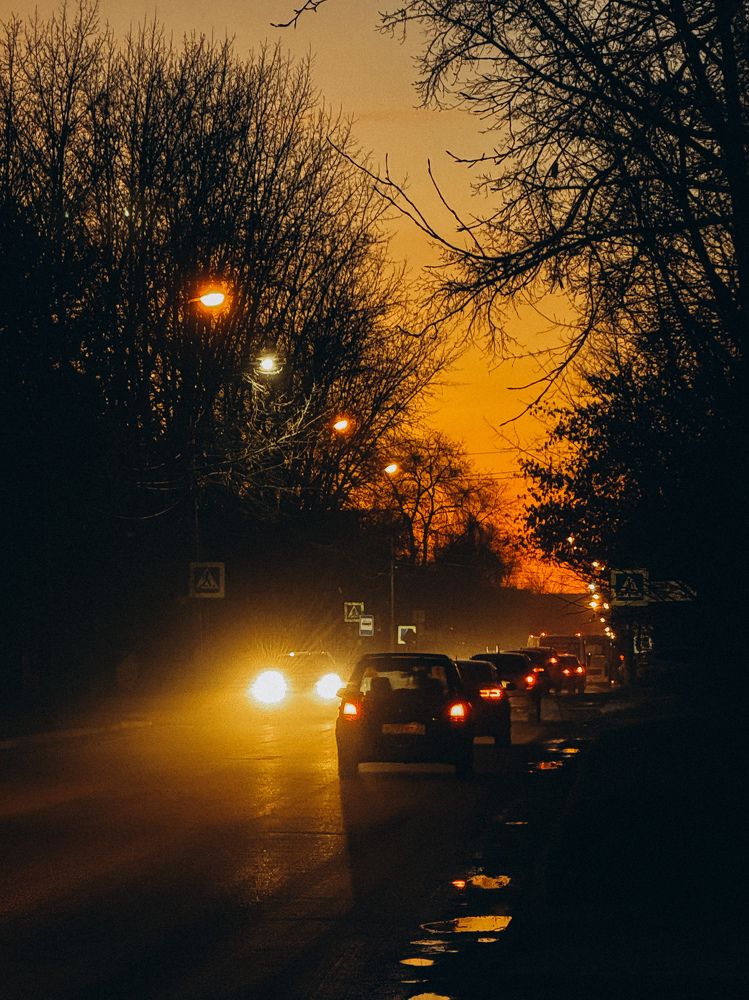 Photograph by Alina Polomoshnova